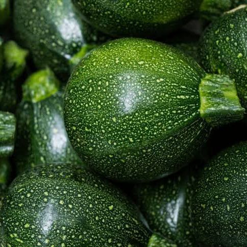 Courgettes Rondes